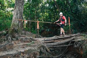 BIB: 
                            <button type="button" onclick="openModal(27754803)" class="btn btn-primary btn-sm float-right btn-popup" data-toggle="modal" data-target=".modal-high-quality">
                        <i class="fas fa-shopping-cart"></i> Add to Cart
                    </button>
                                            <button type="button" onclick="isThisMe(27754803, true)" class="btn btn-success btn-sm float-right btn-popup btn-isme hidden" data-toggle="tooltip" data-placement="bottom" title="นี่คือรูปของคุณใช่ไหม คลิกที่นี่เพื่อเอาเข้าอัลบั้ม">
                        <i class="fas fa-plus"></i> Add to album
                    </button>
                    <button type="button" onclick="isThisMe(27754803, false)" class="btn btn-warning btn-sm float-right btn-popup btn-isnotme hidden">
                        <i class="fas fa-ban"></i> Remove from album
                    </button>